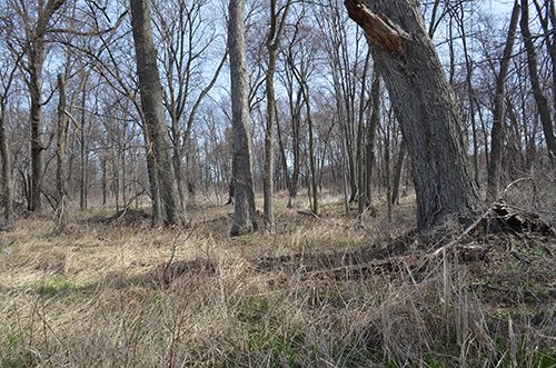 Property photo 147 - REAL ESTATE & PERSONAL PROPERTY AUCTION, 140 Acres offered in 8 Tracts or Combinations in Steuben County